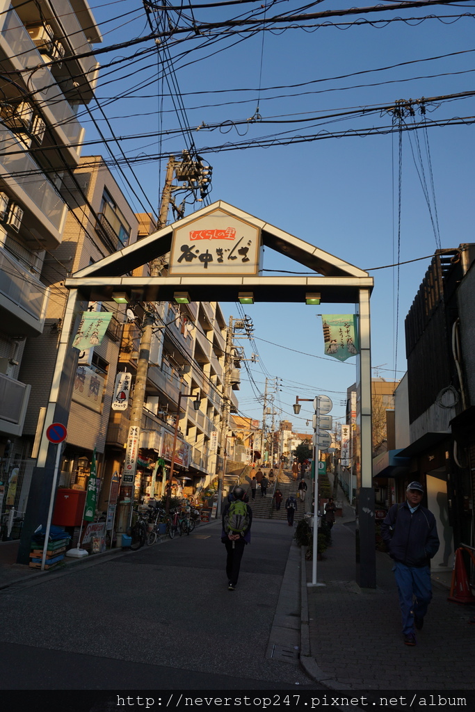 DSC09543 DSC09543