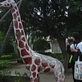 大家都愛騎它  長頸鹿