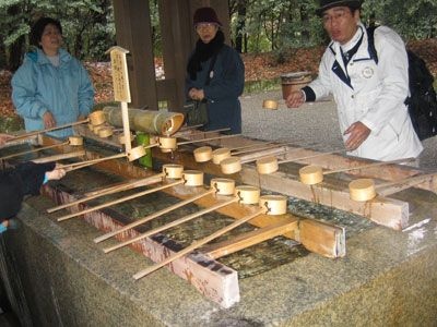 右邊是咱們家導遊