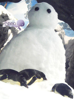 可愛的企鵝,趴在雪人上面,好像很舒服