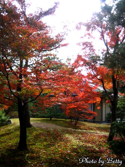 京都之旅 金閣寺紅葉3 Newbetty的相簿 痞客邦 京都之旅 金閣寺紅葉3 Newbetty的相簿 痞客邦