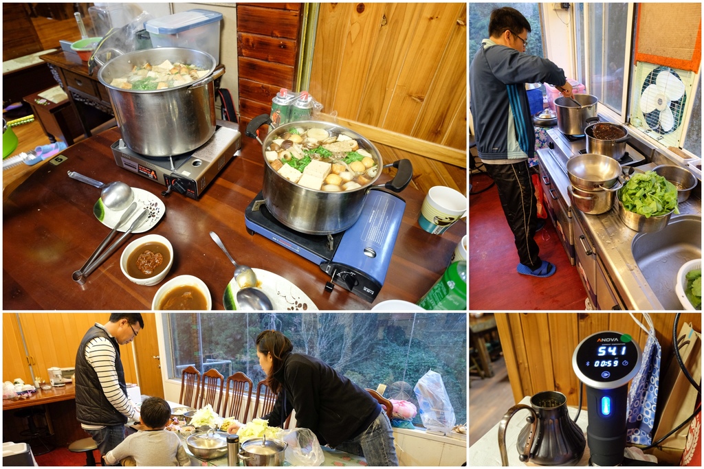 cats01.jpg cats01.jpg