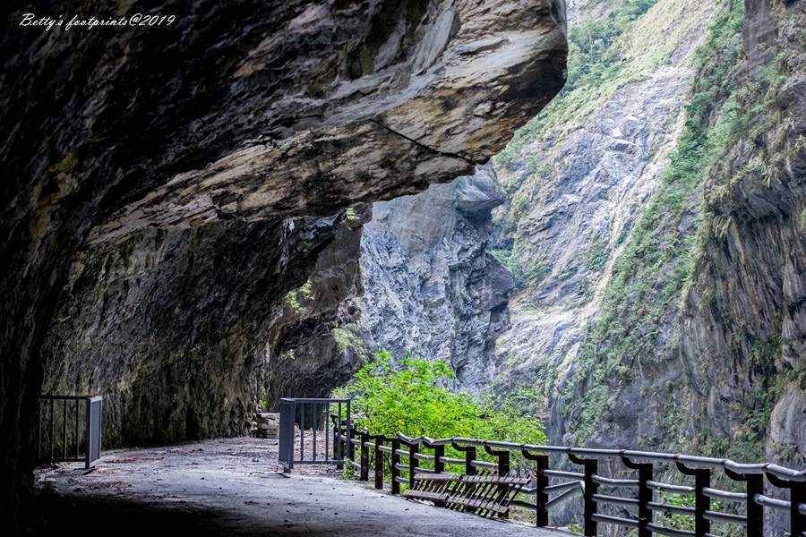 DSCF7115.jpg DSCF7115.jpg