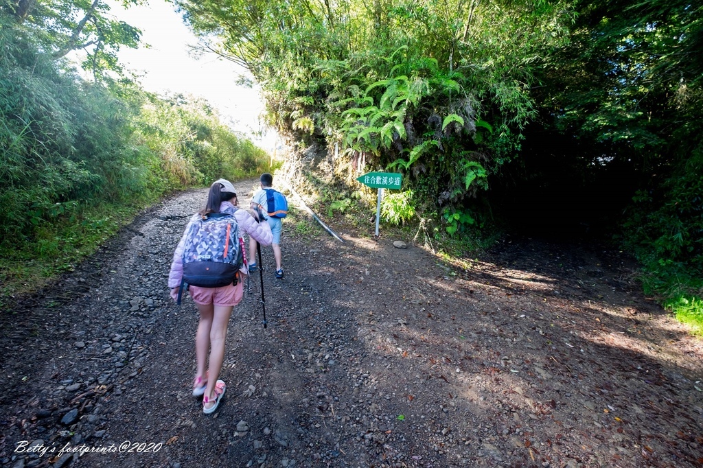 _DSF9173.jpg _DSF9173.jpg