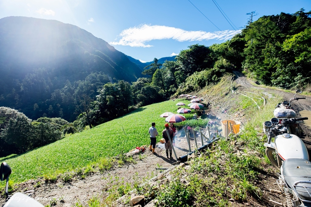 _DSF9172.jpg _DSF9172.jpg