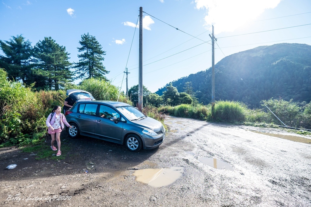 _DSF9170.jpg _DSF9170.jpg