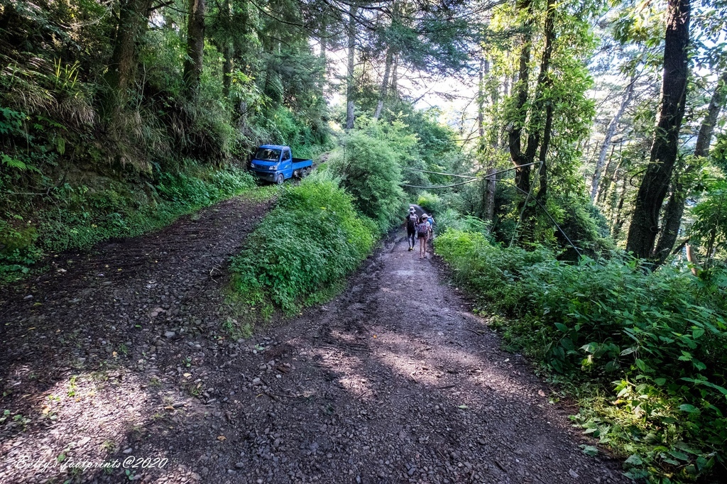 _DSF9181.jpg _DSF9181.jpg