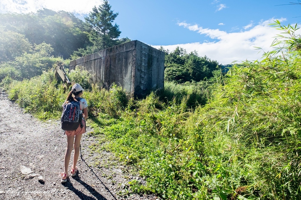 _DSF9184.jpg _DSF9184.jpg