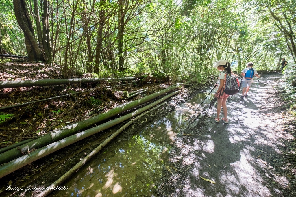 _DSF9188.jpg _DSF9188.jpg