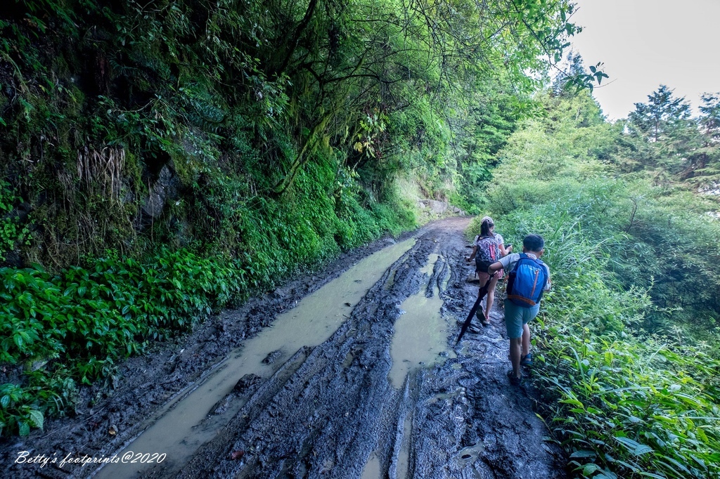 _DSF9178.jpg _DSF9178.jpg