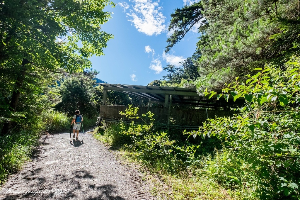 _DSF9190.jpg _DSF9190.jpg