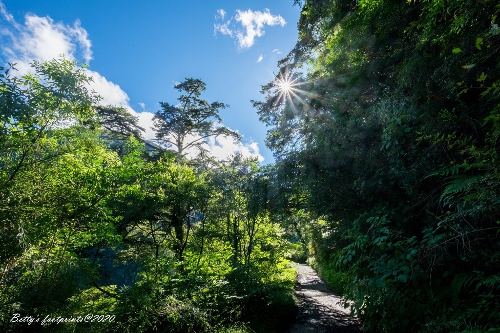 _DSF9195.jpg _DSF9195.jpg