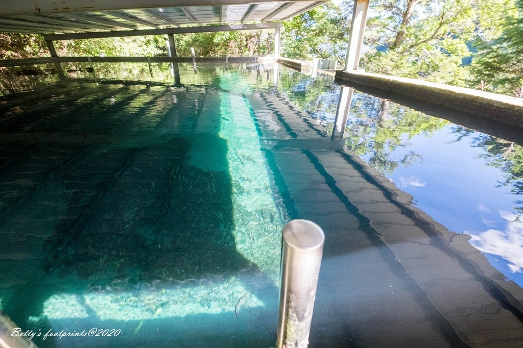 _DSF9193.jpg _DSF9193.jpg