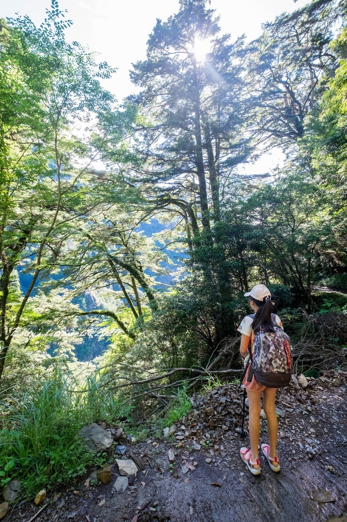 _DSF9204.jpg _DSF9204.jpg