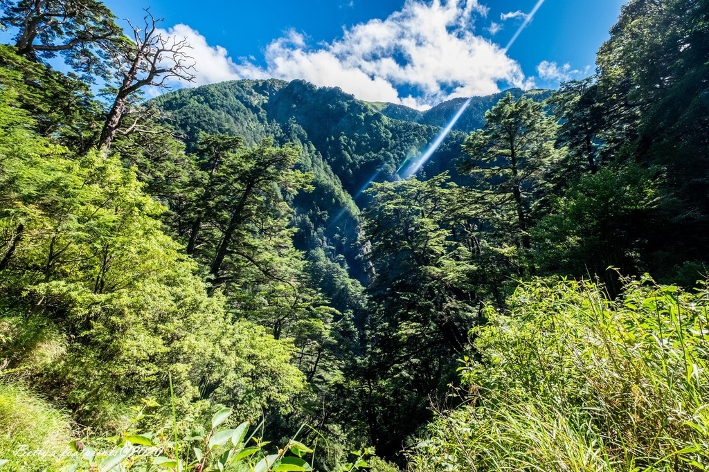 _DSF9207.jpg _DSF9207.jpg