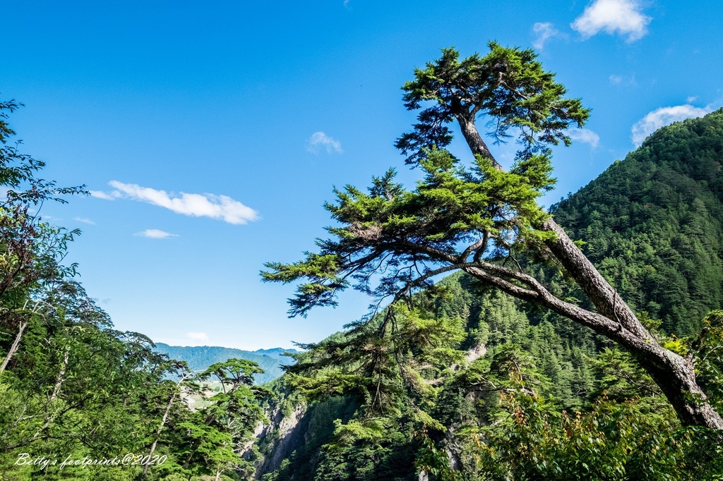 _DSF9208.jpg _DSF9208.jpg