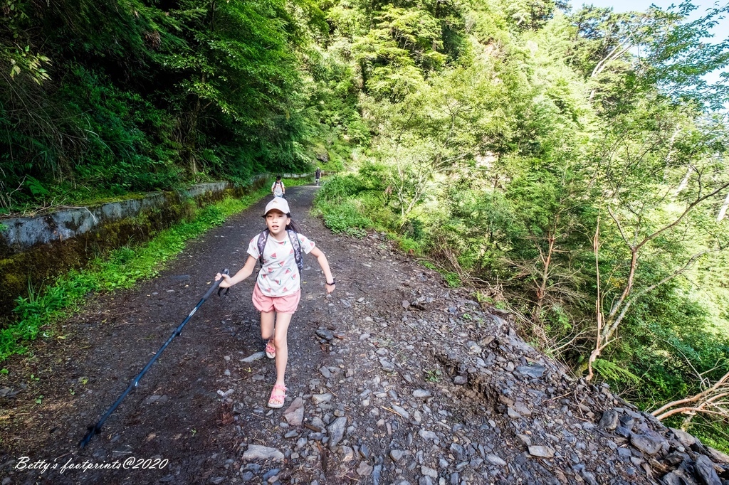 _DSF9209.jpg _DSF9209.jpg