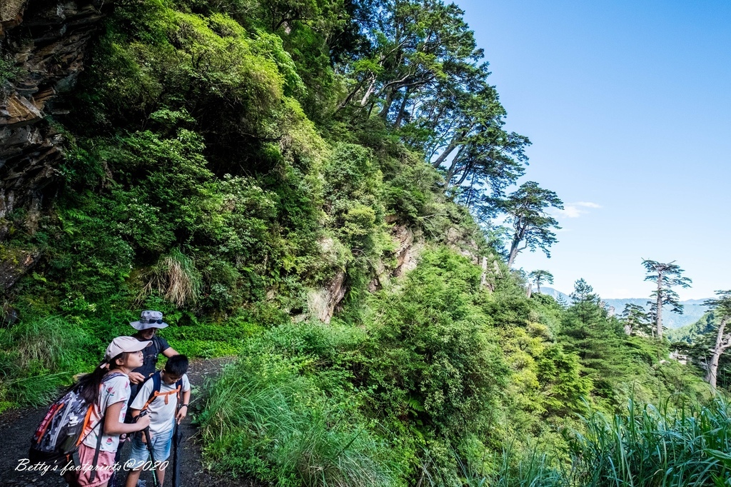 _DSF9212.jpg _DSF9212.jpg