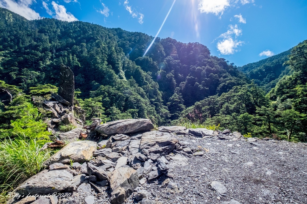 _DSF9216.jpg _DSF9216.jpg