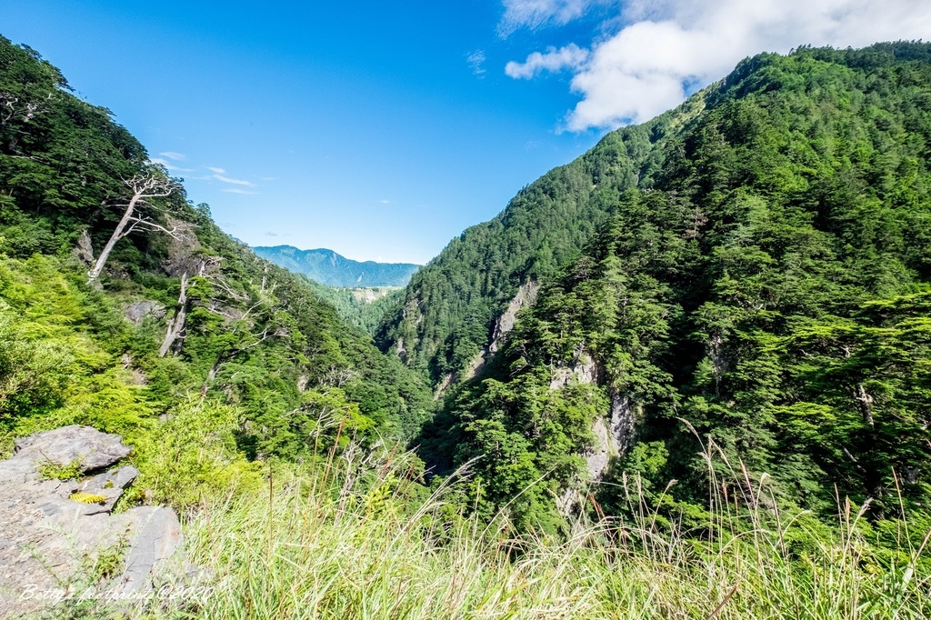 _DSF9217.jpg _DSF9217.jpg