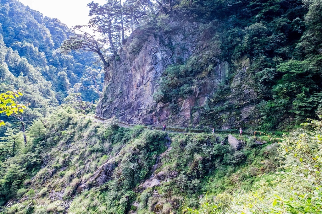 _DSF9214.jpg _DSF9214.jpg