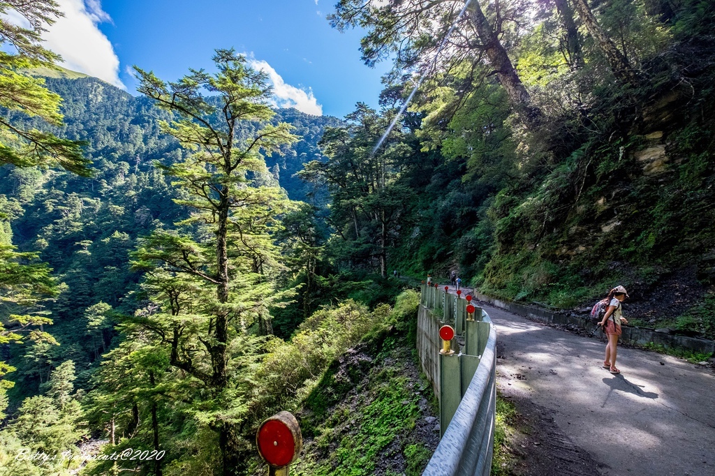 _DSF9220.jpg _DSF9220.jpg