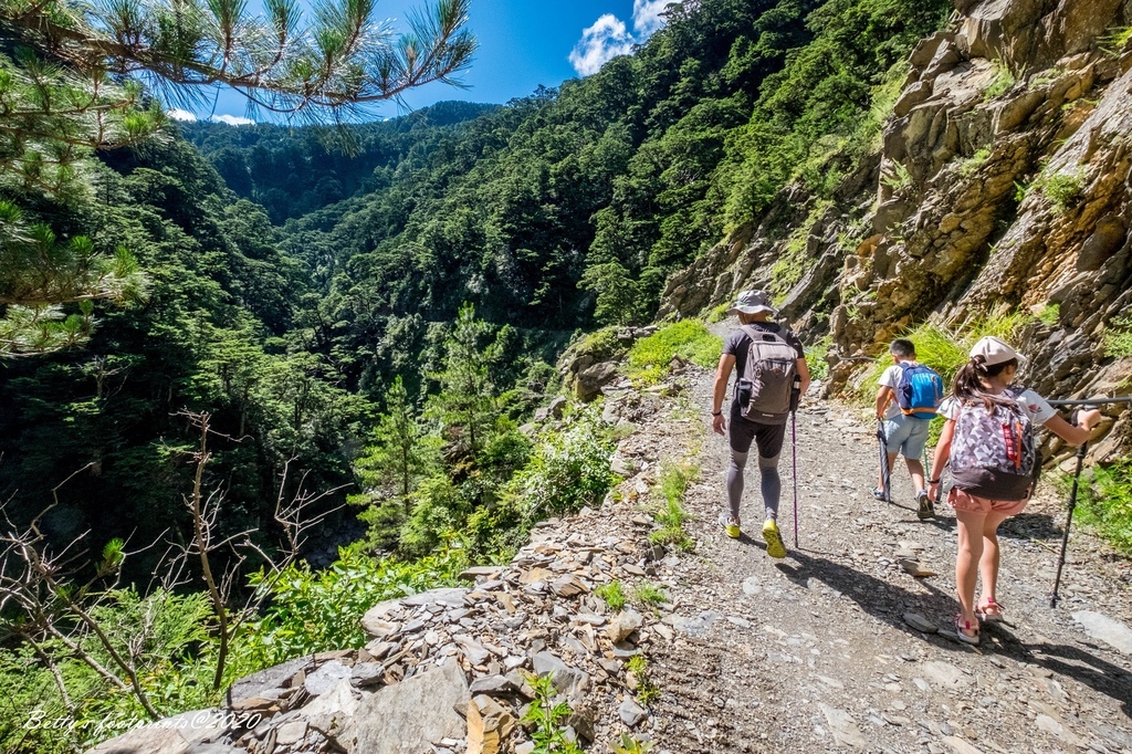 _DSF9221.jpg _DSF9221.jpg