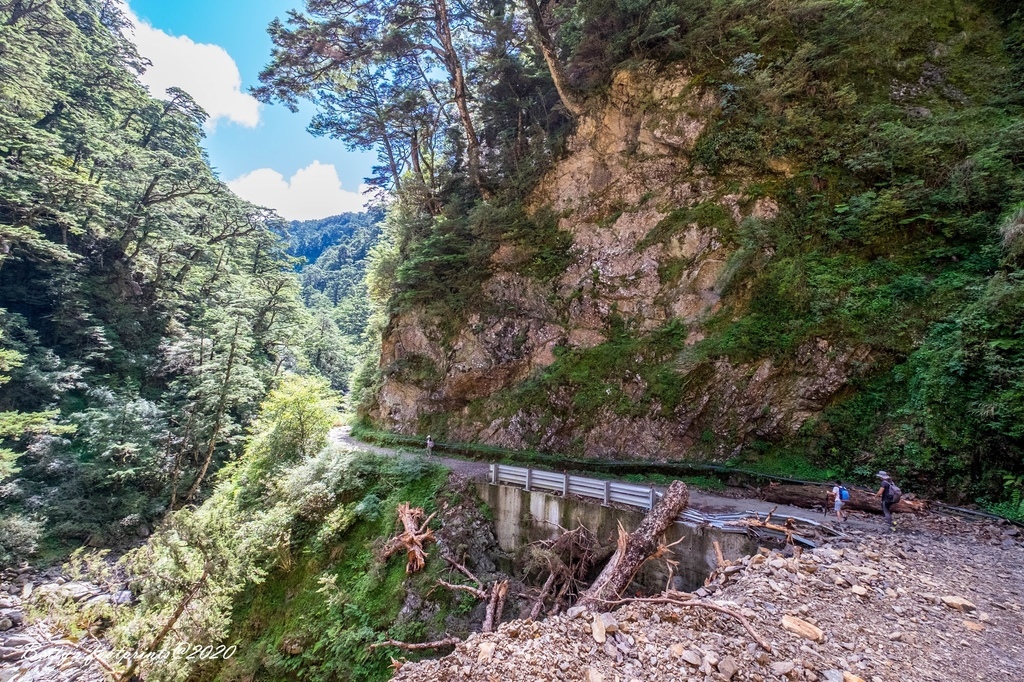 _DSF9233.jpg _DSF9233.jpg