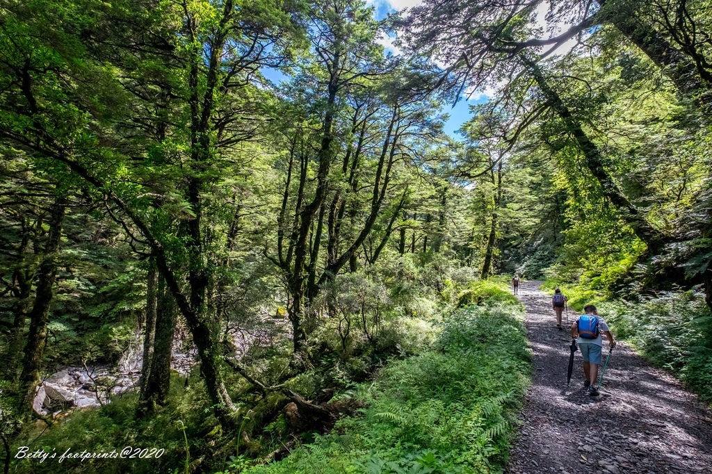 _DSF9239.jpg _DSF9239.jpg