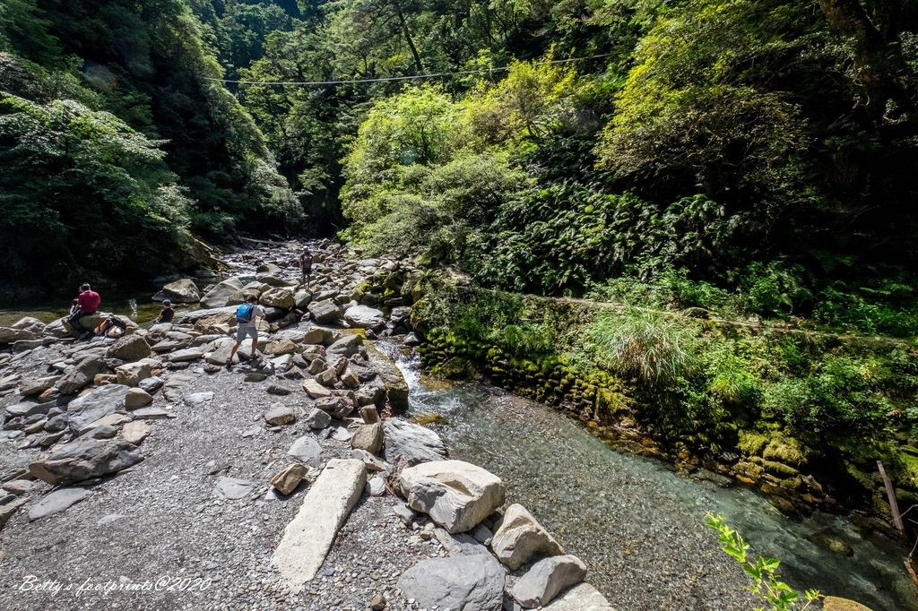 _DSF9242.jpg _DSF9242.jpg