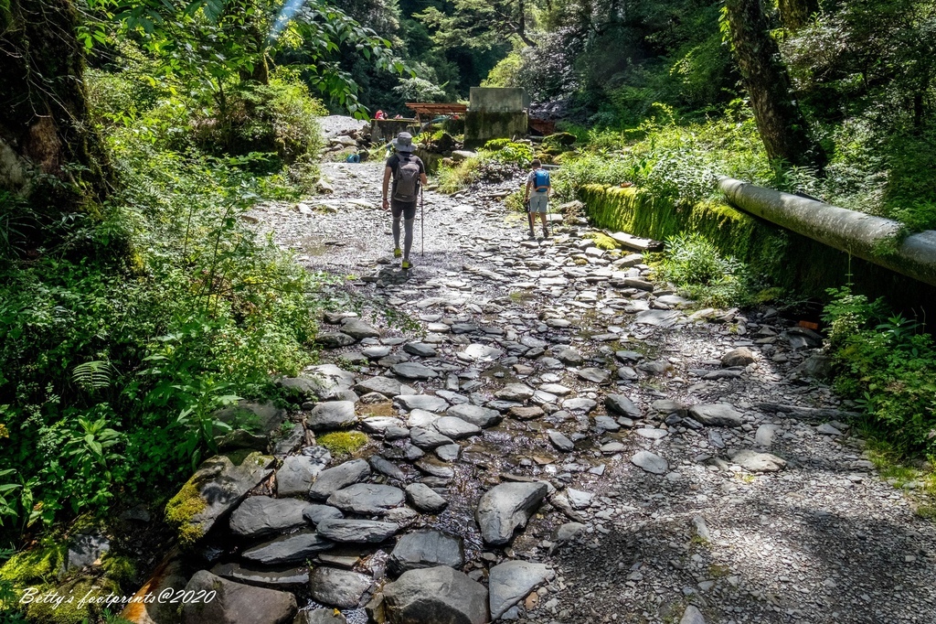 _DSF9241.jpg _DSF9241.jpg