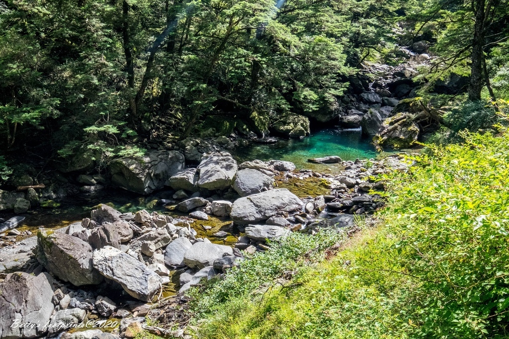 _DSF9236.jpg _DSF9236.jpg