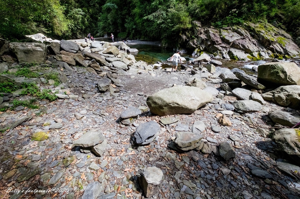 _DSF9246.jpg _DSF9246.jpg