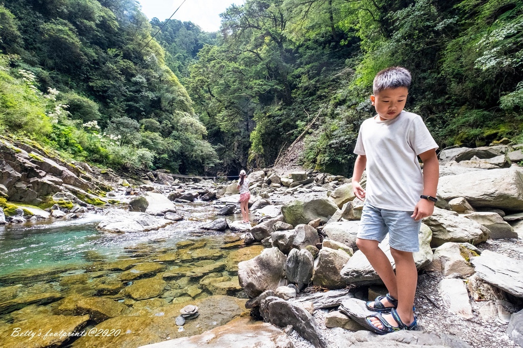 _DSF9247.jpg _DSF9247.jpg