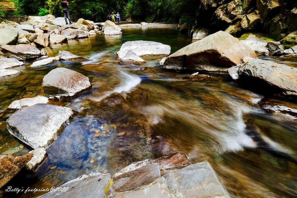 _DSF9336.jpg _DSF9336.jpg