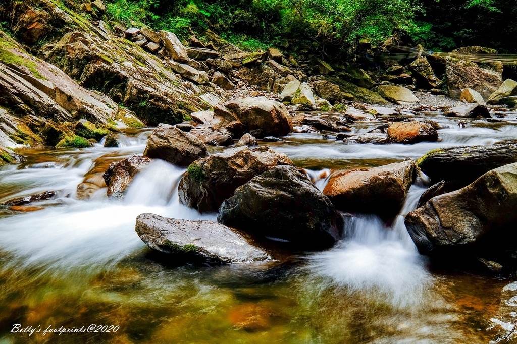 _DSF9335.jpg _DSF9335.jpg