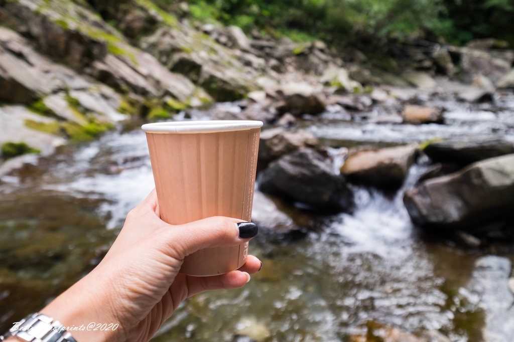 _DSF9341.jpg _DSF9341.jpg