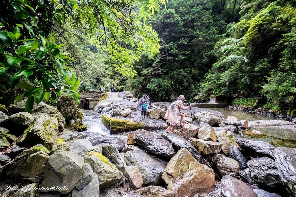 _DSF9346.jpg _DSF9346.jpg