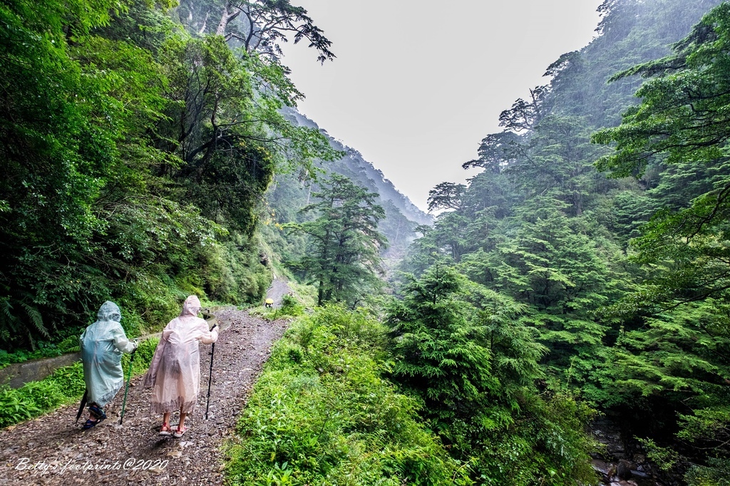 _DSF9349.jpg _DSF9349.jpg