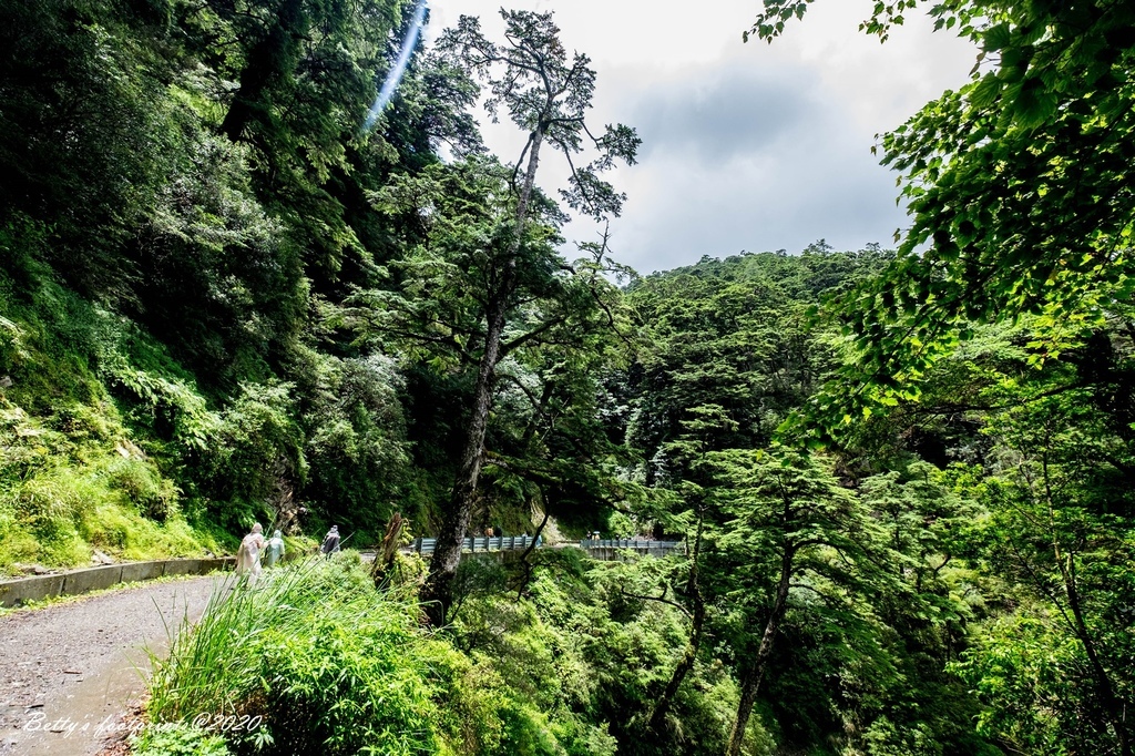 _DSF9351.jpg _DSF9351.jpg