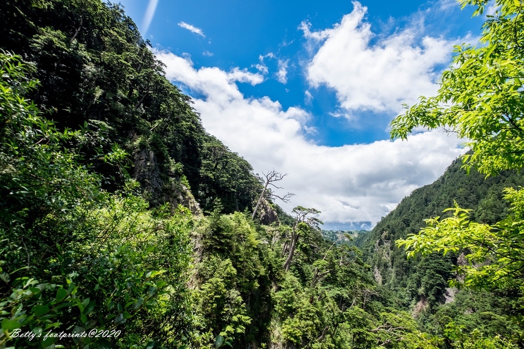 _DSF9353.jpg _DSF9353.jpg