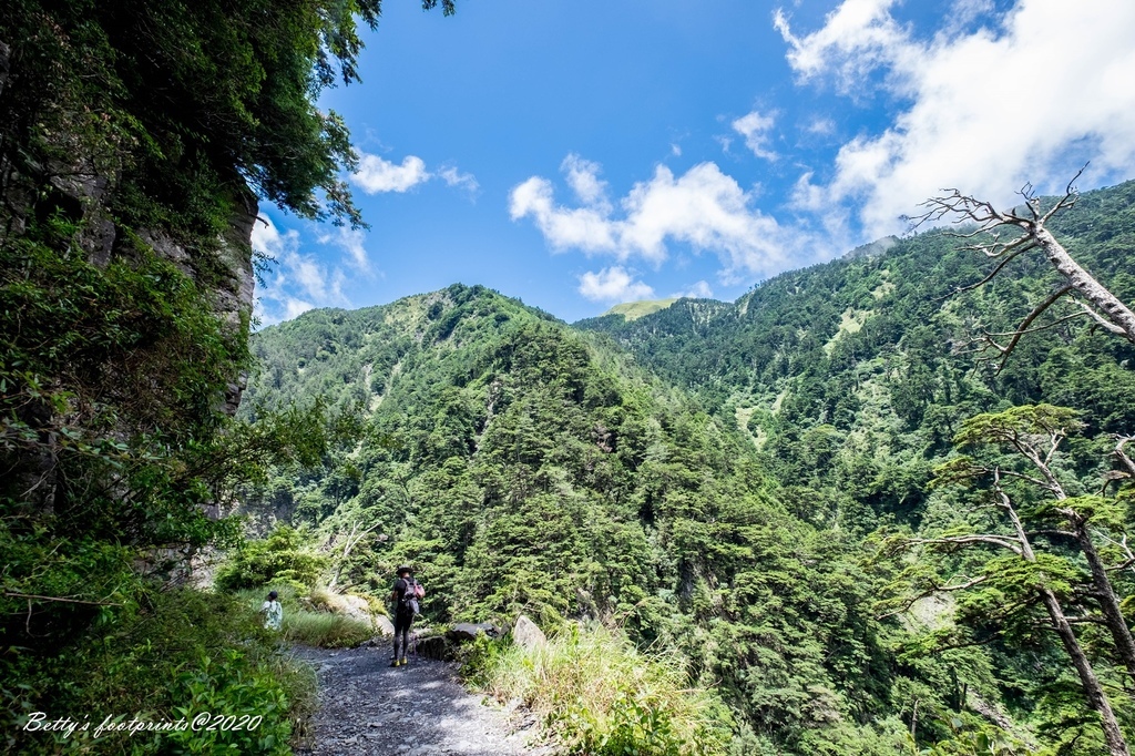 _DSF9357.jpg _DSF9357.jpg