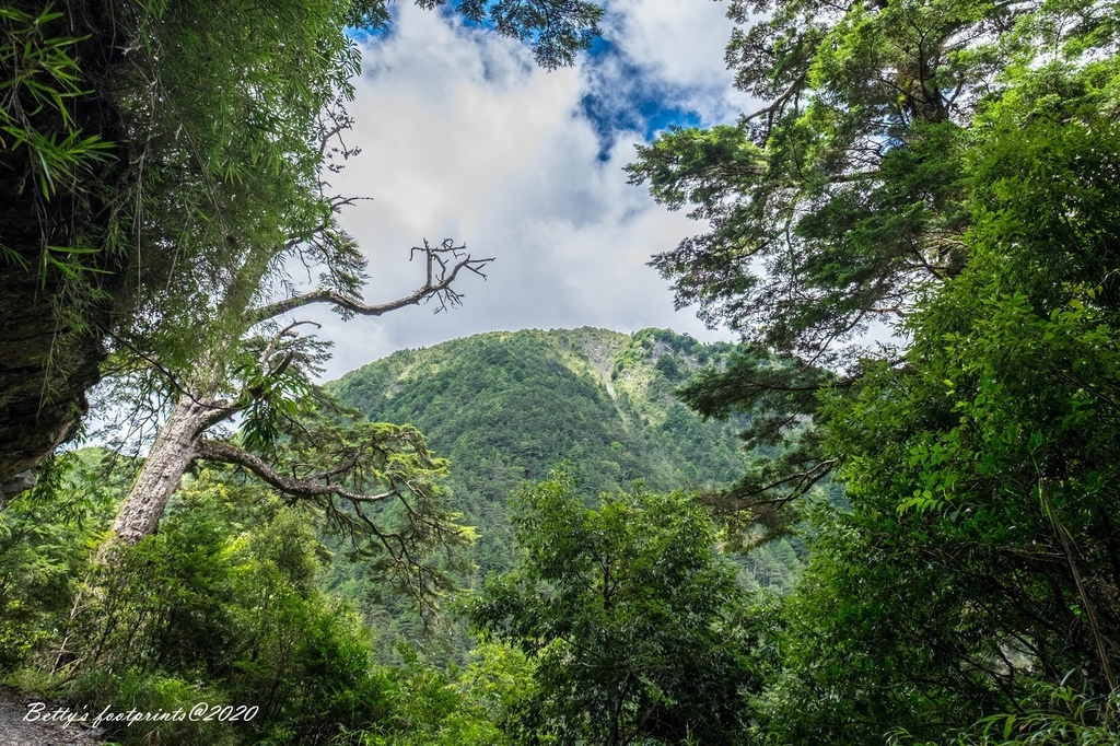 _DSF9362.jpg _DSF9362.jpg