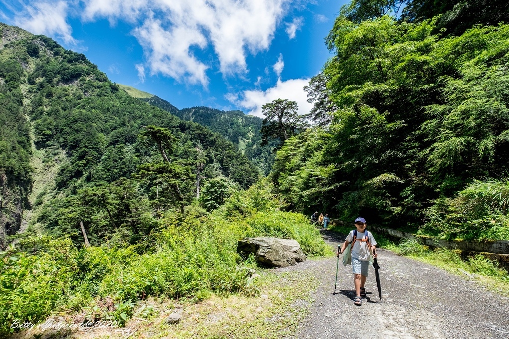 _DSF9361.jpg _DSF9361.jpg