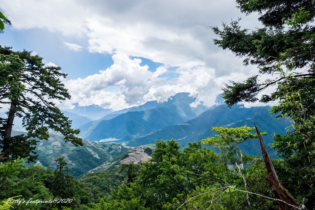 _DSF9370.jpg _DSF9370.jpg