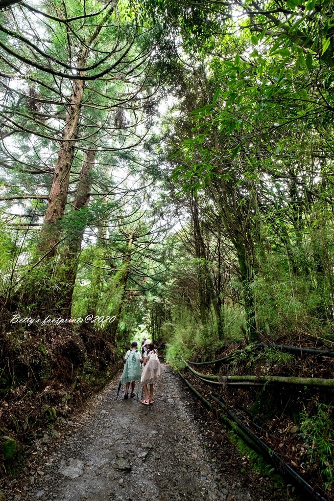 _DSF9366.jpg _DSF9366.jpg