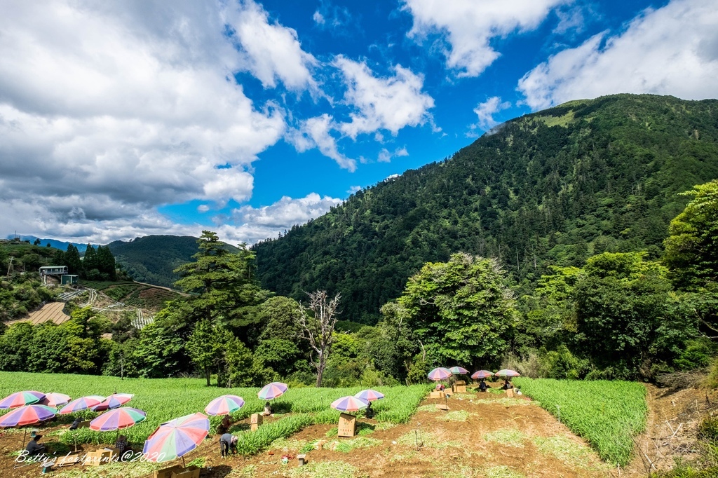 _DSF9374.jpg _DSF9374.jpg