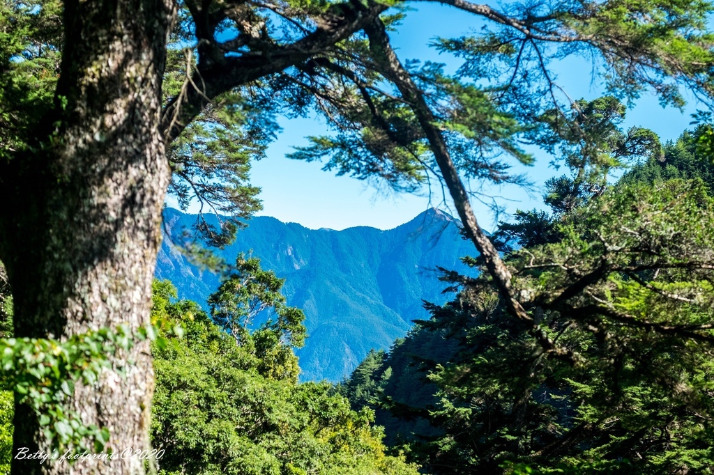 DSCF8099.jpg DSCF8099.jpg