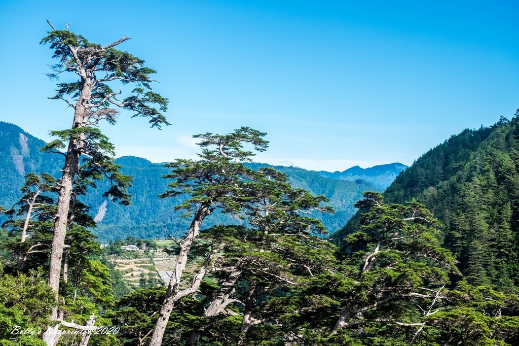 DSCF8102.jpg DSCF8102.jpg