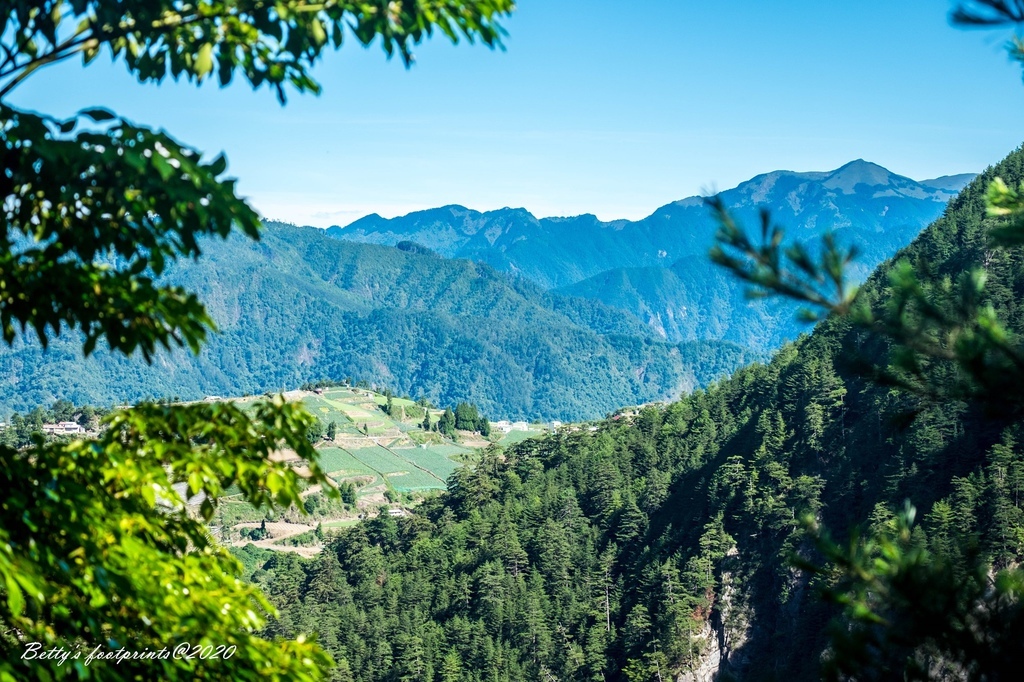 DSCF8100.jpg DSCF8100.jpg